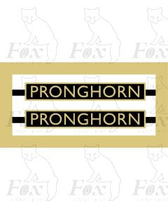 1035 PRONGHORN