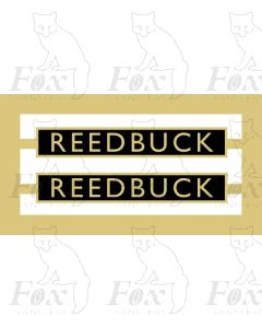 61031  REEDBUCK