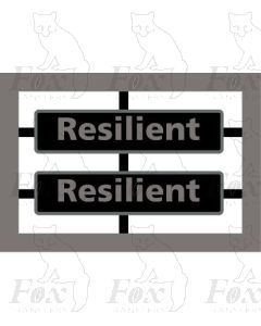47597 Resilient