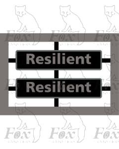 47741 Resilient