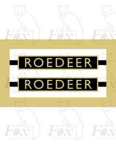 61040  ROEDEER