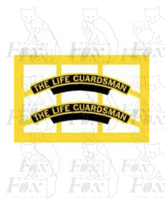 6150 THE LIFE GUARDSMAN