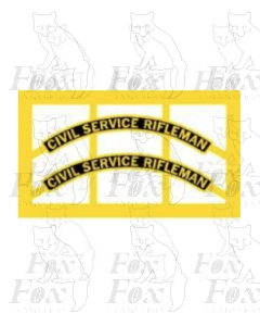 6163 CIVIL SERVICE RIFLEMAN