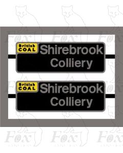 58019 Shirebrook Colliery