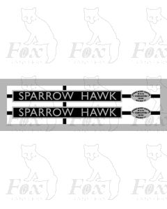 60018 SPARROW HAWK (stainless steel)