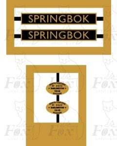 61000 SPRINGBOK