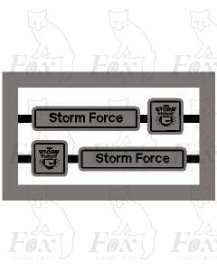 43160 Storm Force - alloy/black