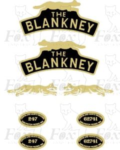 62741  THE BLANKNEY
