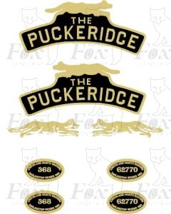 368  THE PUCKERIDGE