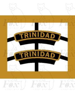 45634  TRINIDAD  