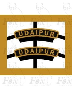 45591  UDAIPUR