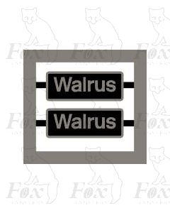 33009 Walrus