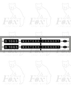 D1065 WESTERN CONSORT