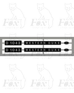 D1043 WESTERN DUKE