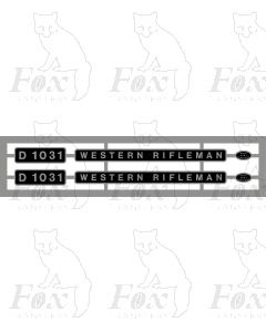 D1031 WESTERN RIFLEMAN