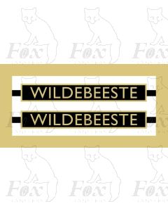 1010  WILDEBEESTE