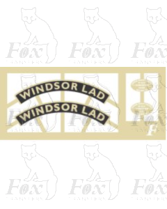 2500  WINDSOR LAD