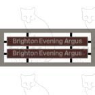 73101 Brighton Evening Argus