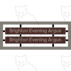 73101 Brighton Evening Argus