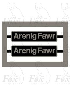 60017 Arenig Fawr