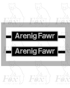 60017 Arenig Fawr