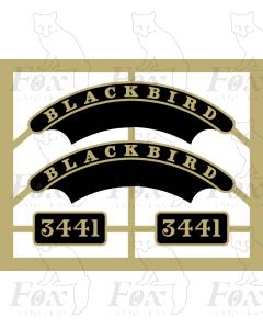 3441 BLACKBIRD