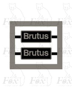 68019 Brutus