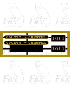 1011 COUNTY OF CHESTER 