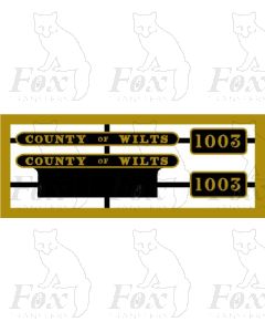 1003 COUNTY OF WILTS