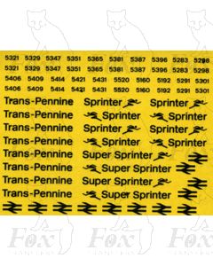 Provincial (Trans-Pennine and Sprinter) Livery Elements