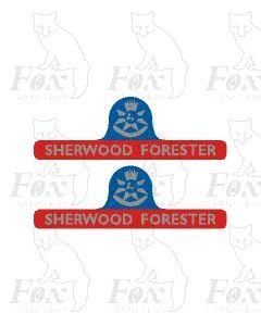 45060 SHERWOOD FORESTER