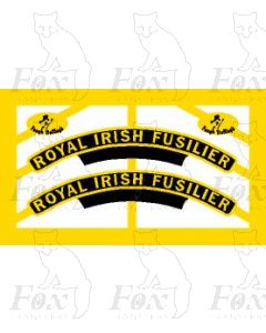 46123  ROYAL IRISH FUSILIER