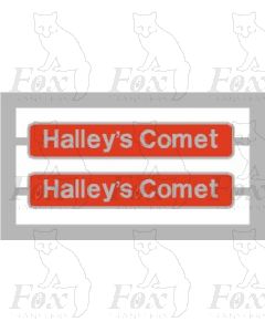 86217 Halleys Comet