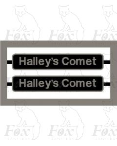 86504 Halleys Comet