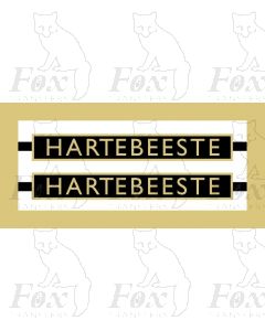 1009  HARTEBEESTE 