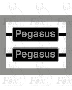 47298 Pegasus