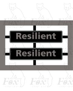 47597 Resilient