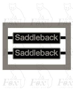 60048 Saddleback