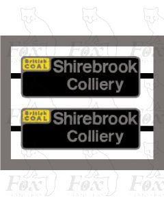 58019 Shirebrook Colliery