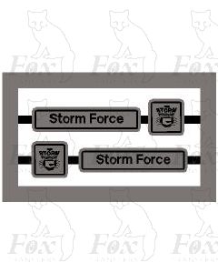 43160 Storm Force - alloy/black