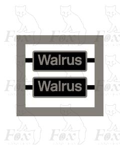 33009 Walrus